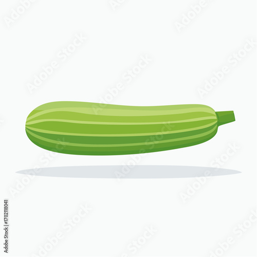 Jolie courgette bien verte à l'horizontal, arrière plan blanc uni