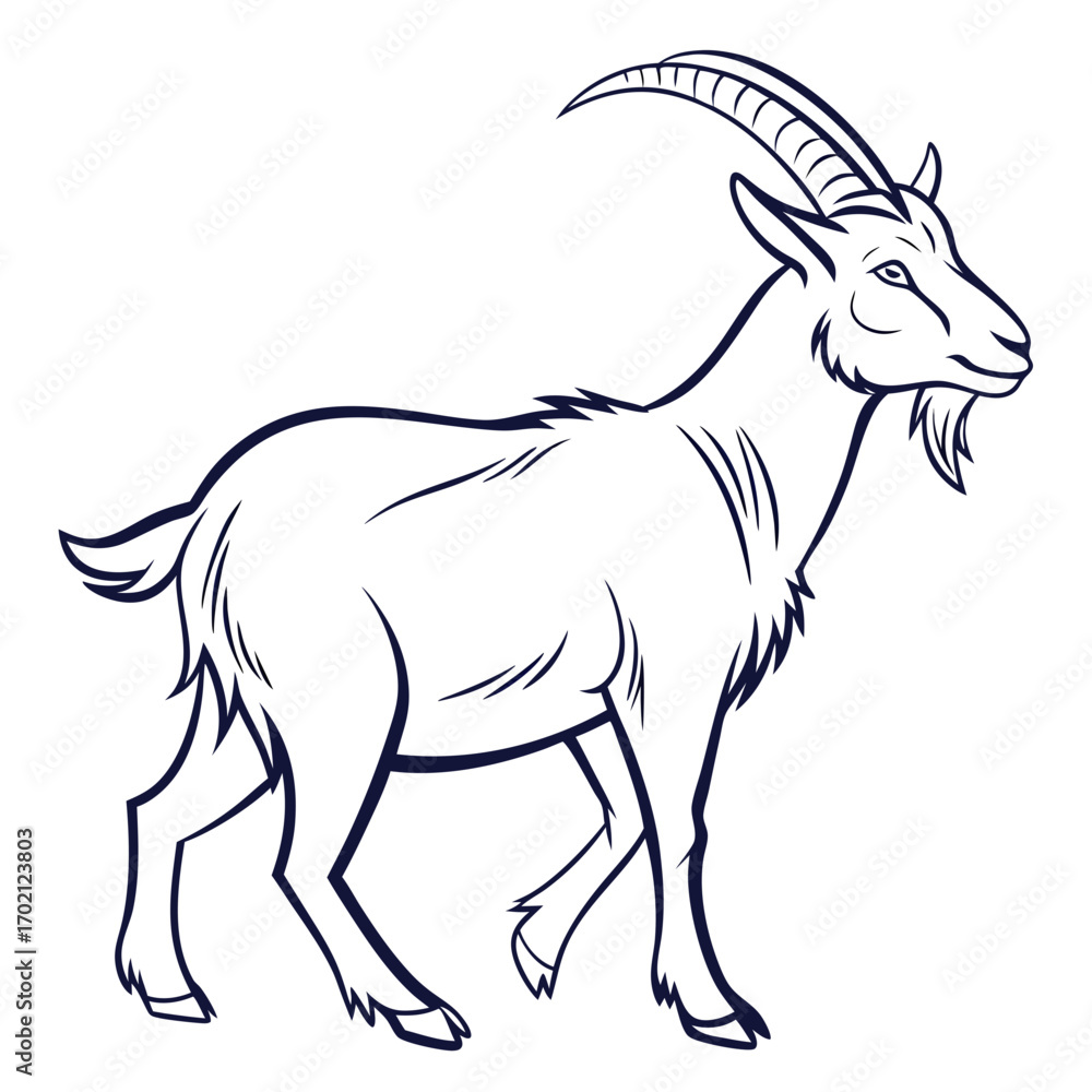 Fototapeta premium Simple black and white line art illustration of a proud standing goat