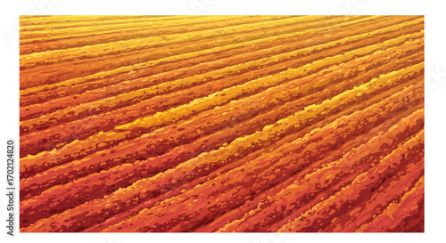Abstract Orange and Yellow Furrowed Field Illustration.