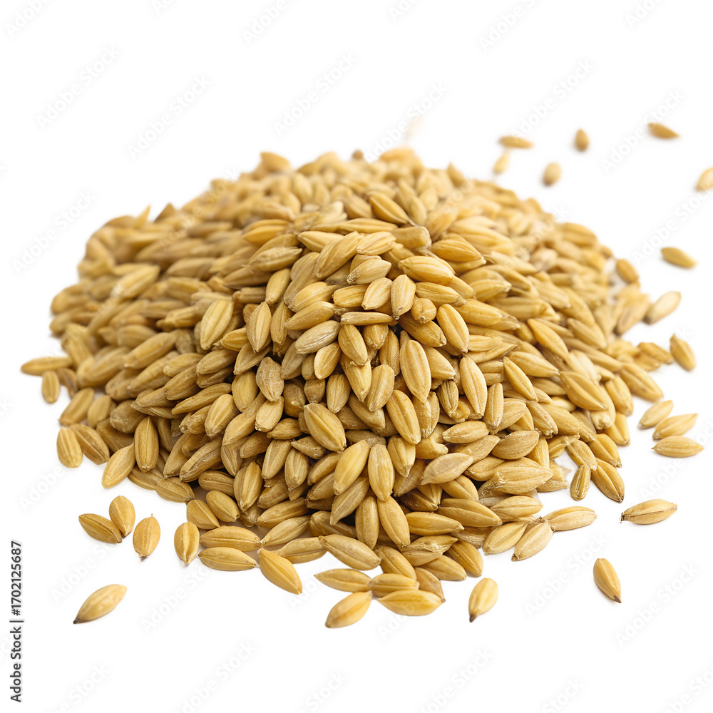 Obraz premium Pile of Raw Barley Grain Isolated on Transparent Background PNG – Natural Whole Food and Organic Ingredient Element