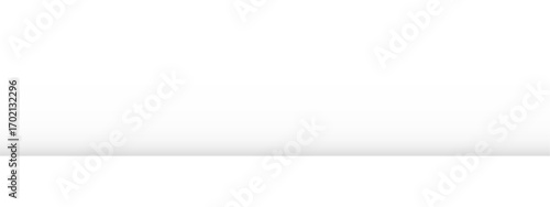 A simple blank white vector background with a subtle gray shadow at the bottom creating a clean and modern studio feel perfect for product displays.