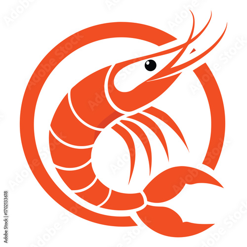 vector illustration of a shrimp