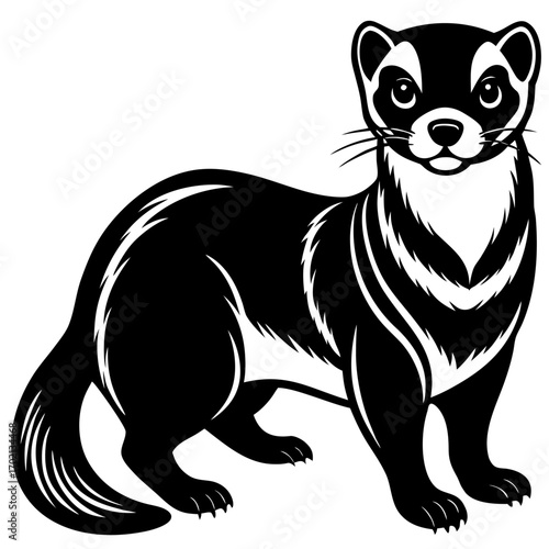 Black footed ferret design on white background