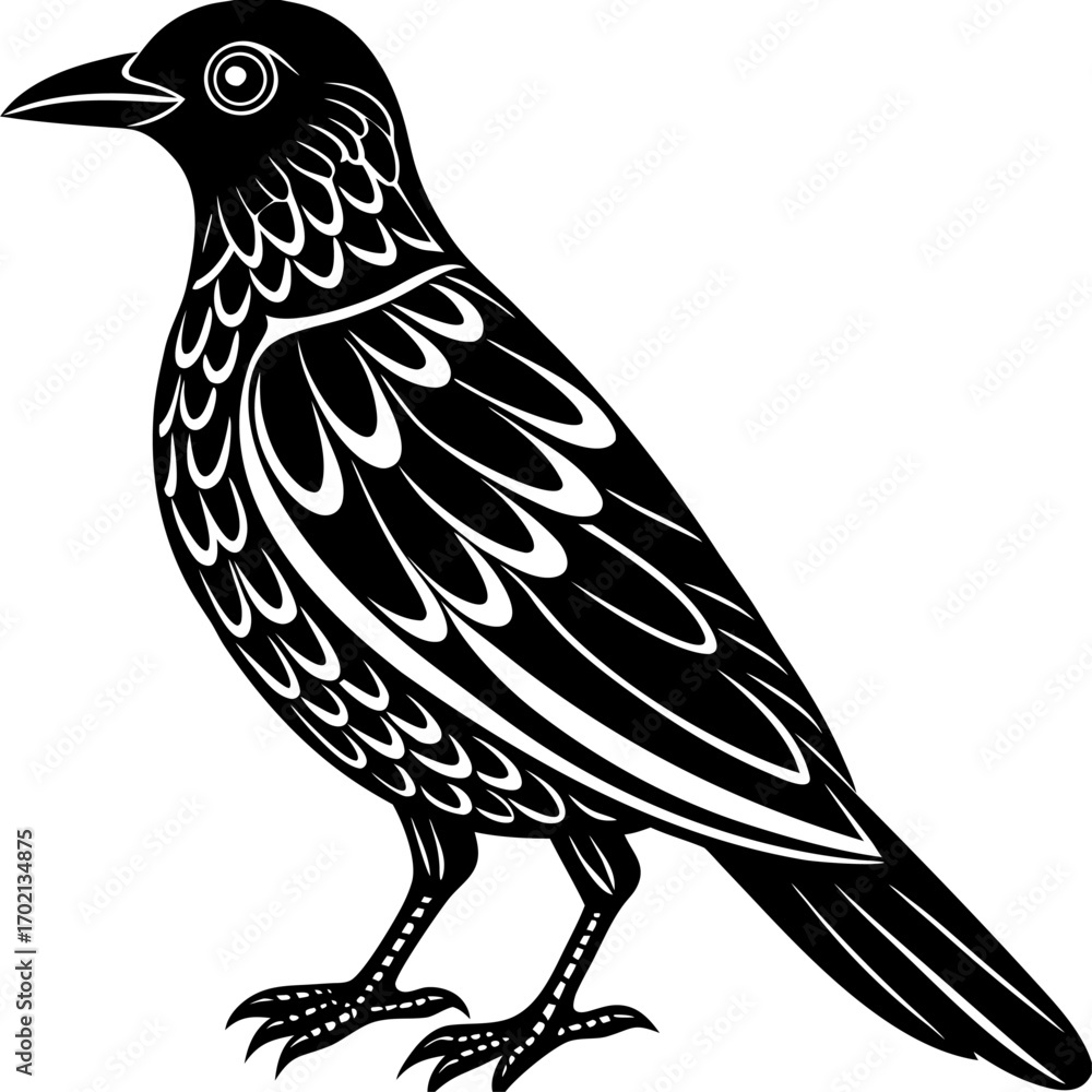 Obraz premium Artistic black bowerbird illustration on white background