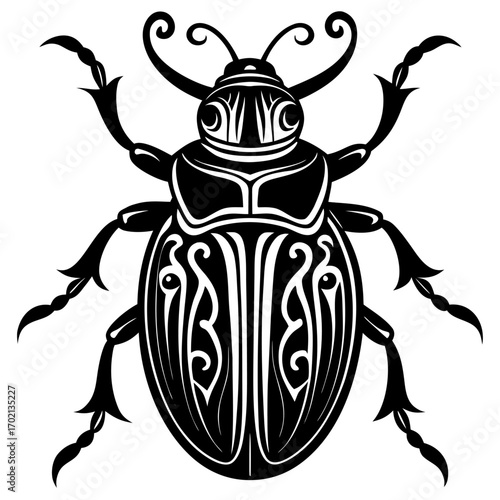 Brown beetle insect illustration in black and white