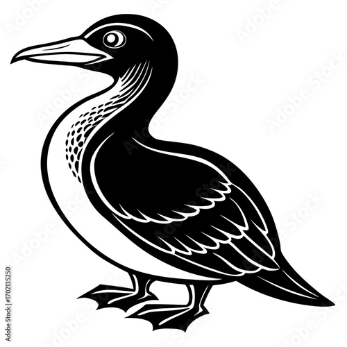Brown booby bird black design on white background