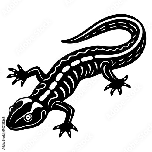 Brown newt illustration on white background with black design elements
