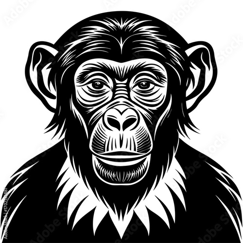 Stylized chimpanzee illustration on a clean white background
