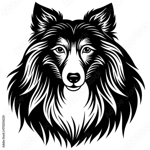 Black collie dog silhouette design on white background