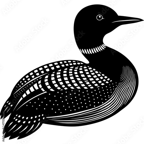 Black and white loon design on a clean background