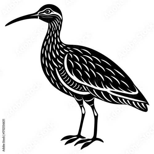 Elegant black curlew silhouette on white background design