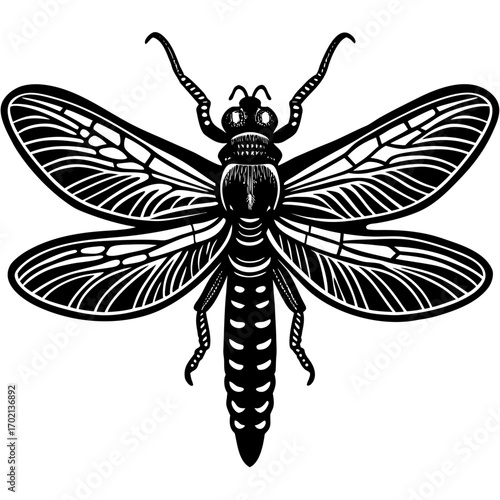 Black and white dragonfly larvae illustration with yellow accents