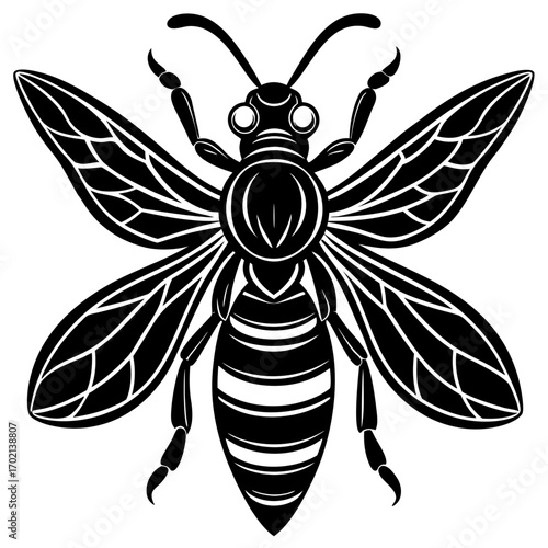 Stylized black wasp illustration on white background