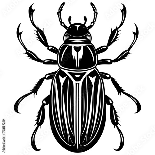 Black and white beetle design on a clean background
