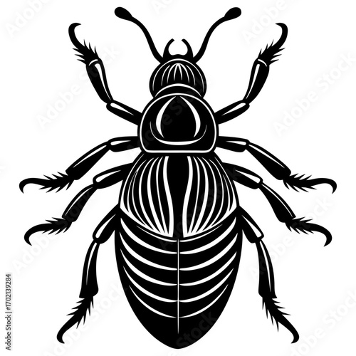 Black and white beetle larvae design with yellow accents
