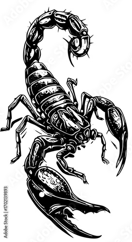 Detailed black and white scorpion illustration