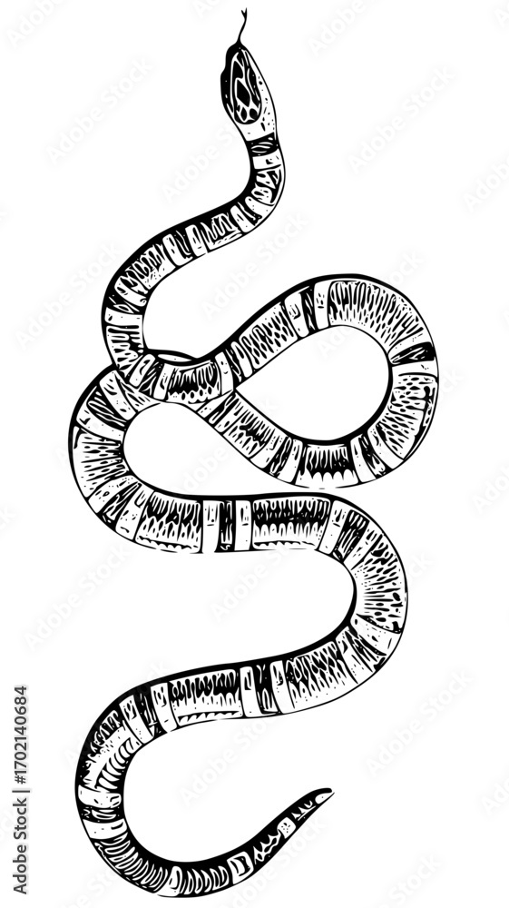 Naklejka premium Hand drawn snake illustration in vector format