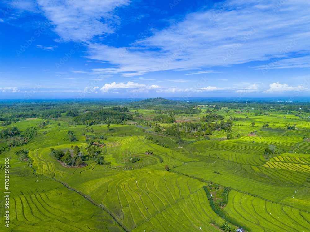 Fototapeta premium Beautiful morning view indonesia, Panorama Landscape paddy fields with beauty color and sky natural light