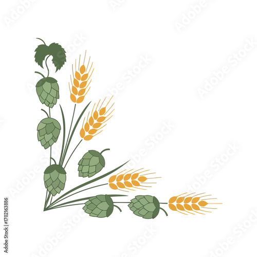 Autumn harvest corner element wheat hops leaves decorative flourish agricultural design vector