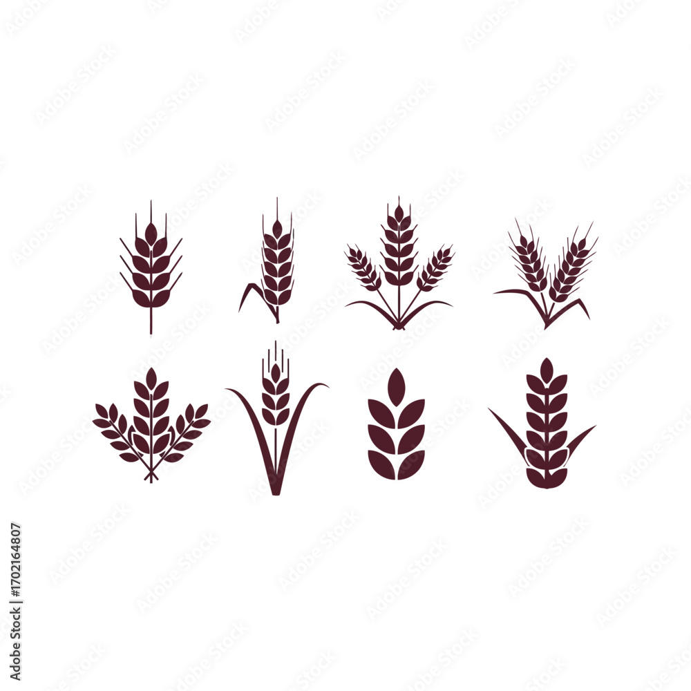 Obraz premium Wheat ears silhouette collection agriculture harvest food grain organic natural ingredient symbol set vector