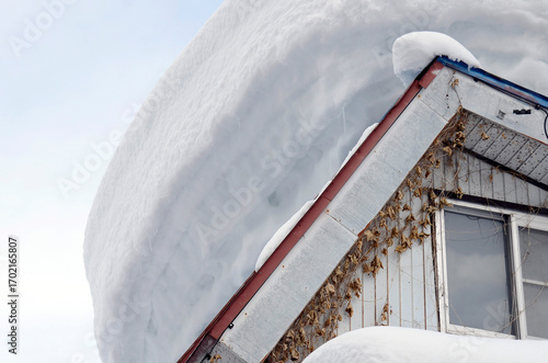 雪の積もった屋根