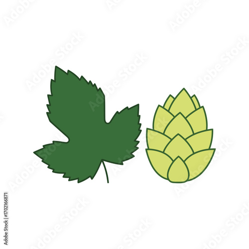 Fresh green hop cone and leaf ingredient for brewing craft beer agriculture vector
