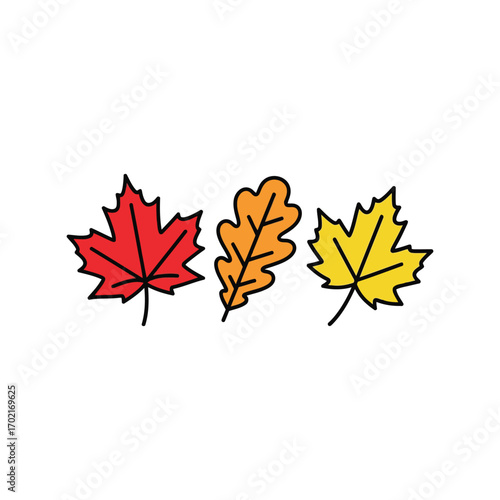 Autumn maple oak leaves autumnal seasonal fall foliage nature organic design elements vector