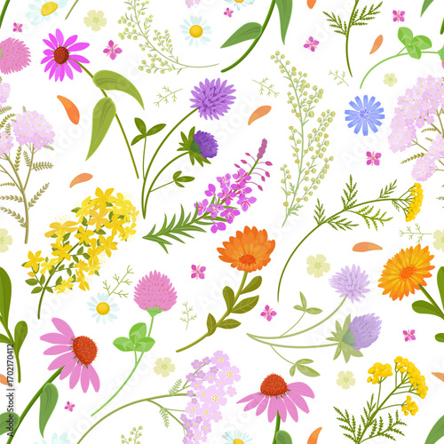 seamless texture with isolated blooming medicinal herbs. white background of colorful wildflowers and petals. pattern with pharmaceuticals herbal flowers