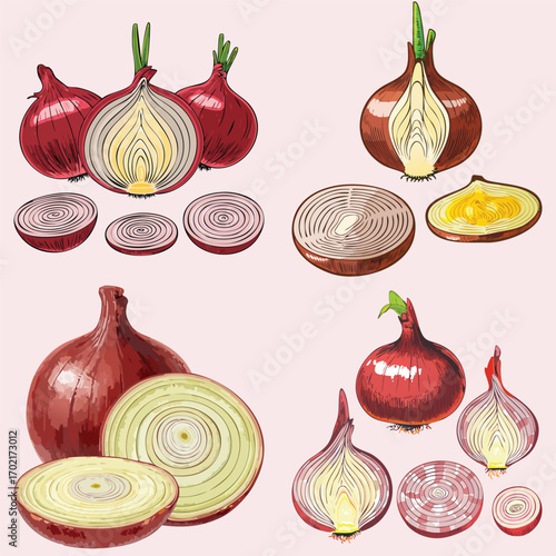A beautiful, hand-drawn collection of red onion and shallot illustrations. This artistic, vintage-style set is perfect for recipes, menus, and artisanal food branding.