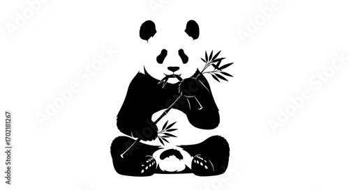 Panda eating bamboo silhouette isolated on white background