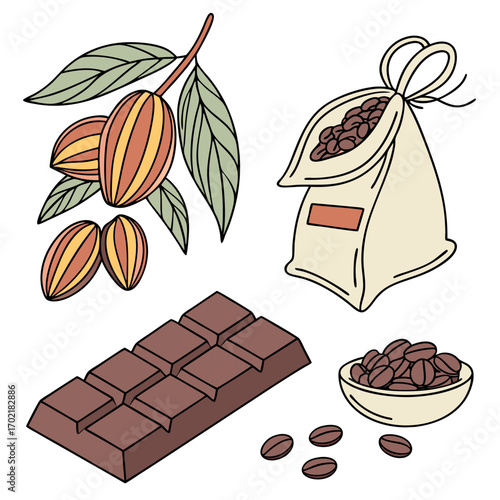 A delightful collection of hand drawn illustrations depicting the journey from cocoa beans on a branch to a finished chocolate bar including roasted beans in a bag and a bowl
