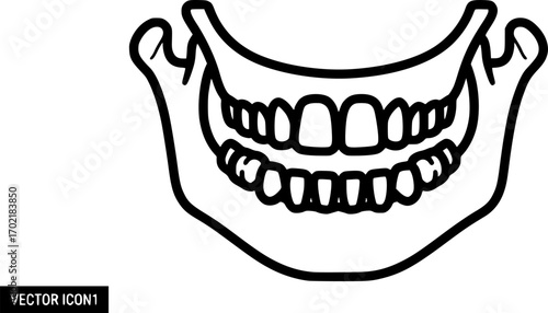 Human jaw outline icon vector
