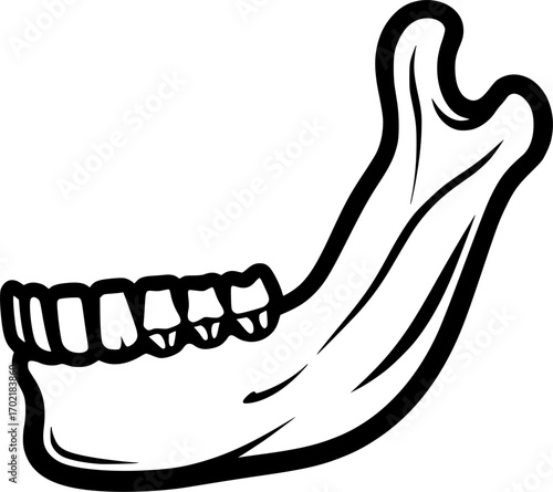 Human jaw outline icon vector
