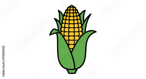 Illustration of an ear of corn with green husks.