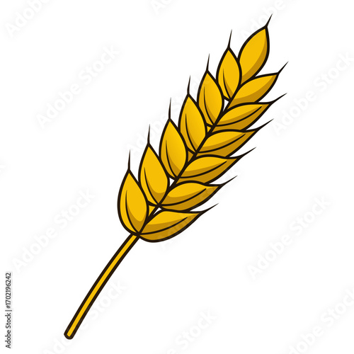 Vector illustration of a golden wheat stalk on a white background