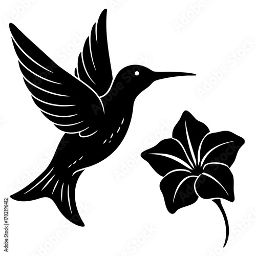 Hummingbird hovering near a vibrant flower