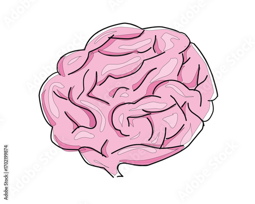 human brain vector illustration