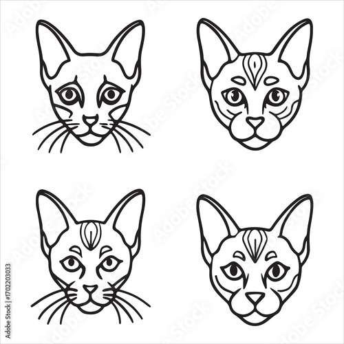 A Sleek and Regal Abyssinian Cat, an Intelligent Feline with a Ticked and Shimmering Coat, an Agile and Extroverted Companion of Ancient Appearance
