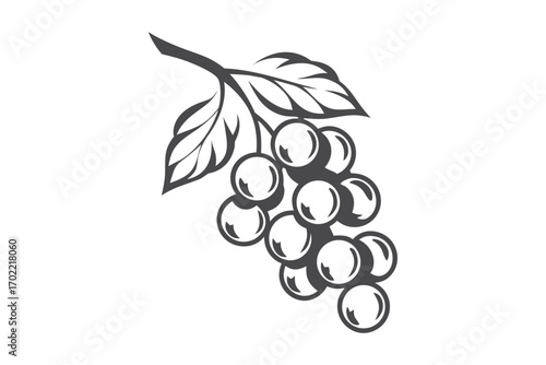 Grapes with Leaves, Elegant Fruit Design on White Background