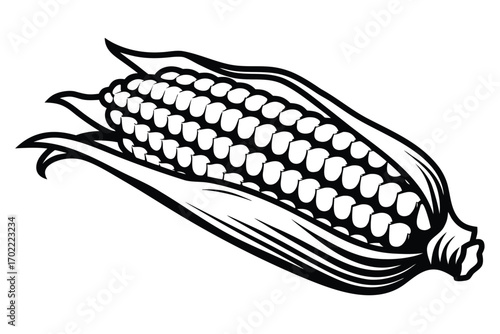 Icon of Fresh Corncob, Isolated, Black and White Design, on White Background