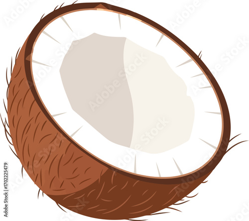 Fresh tropical coconut halved with white flesh and fibrous husk vector