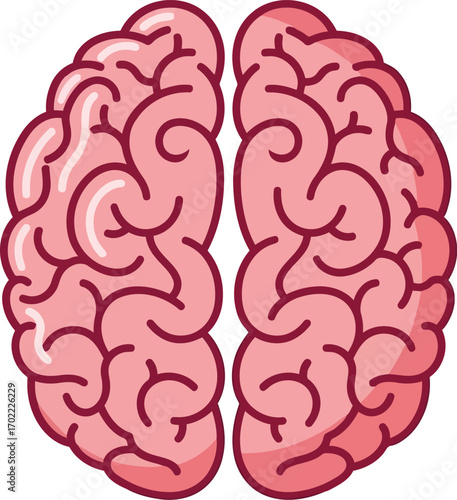 Pink brain anatomy illustration human mind concept medical science vector