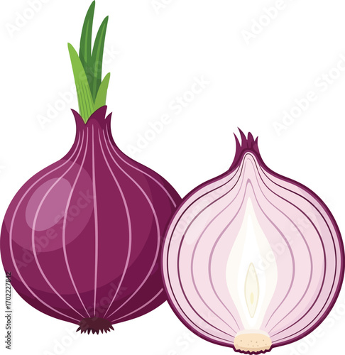 Vibrant red onion whole and halved fresh organic vegetable vector