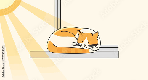 A Peaceful Cat Takes A Soothing Nap In The Warm Rays Of The Sunshine