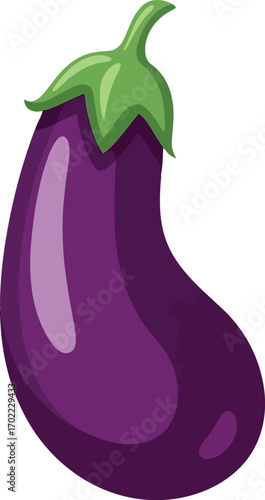 Vibrant purple eggplant isolated healthy food ingredient vector