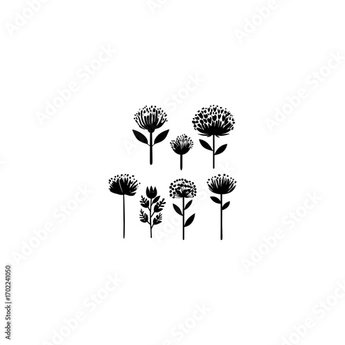 Collection of flower silhouettes. Flowers and plants set silhouette on a white background. 