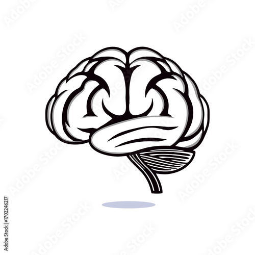 Human brain line art vector illustration