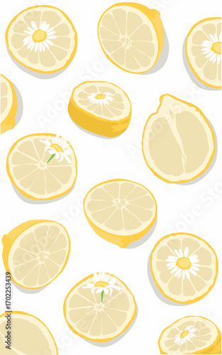 Fresh yellow lemon sliced fruit and Daisy flower on white background 