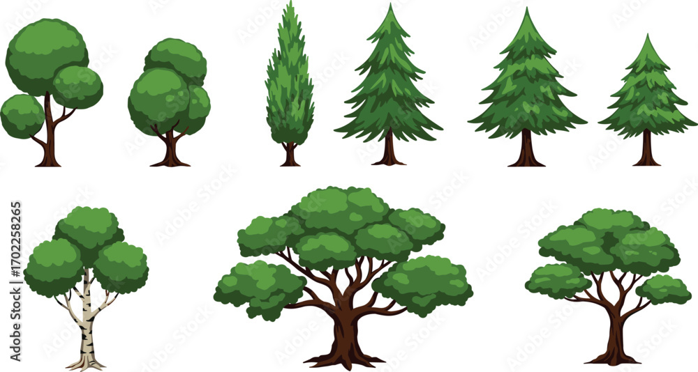 Fototapeta premium Cartoon set of green trees including pine, birch, and broadleaf types, diverse shapes, isolated on white background.