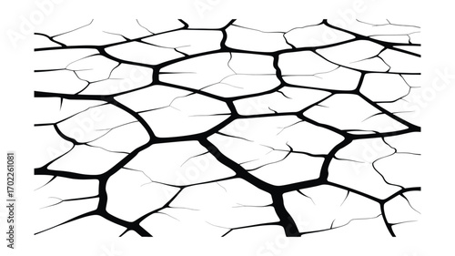 Cracked Earth Texture: Black Lines on White Background, Grunge, Abstract, Seamless Pattern for Design and Decoration, Ground, Dry Climate, Environmental Issues
